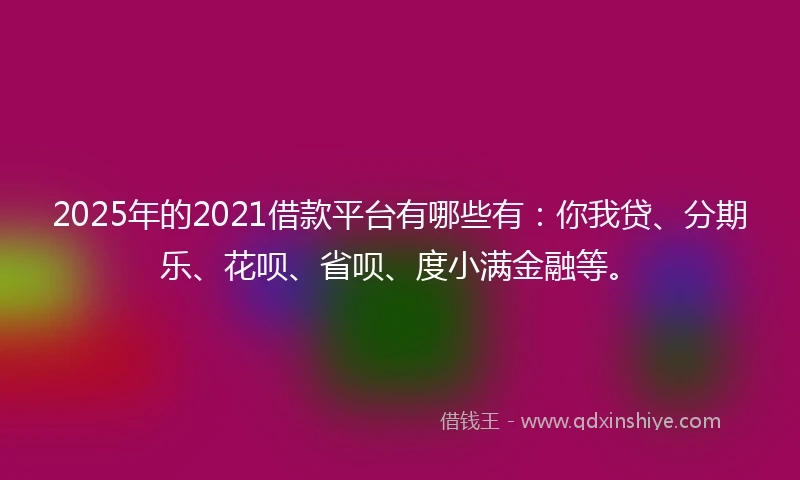 2025年的2021借款平台有哪些有：你我贷、分期乐、花呗、省呗、度小满金融等。