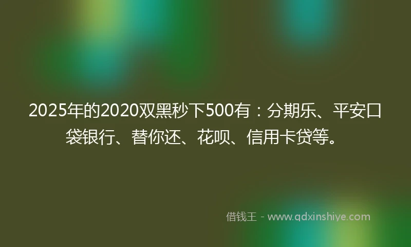 2025年的2020双黑秒下500有：分期乐、平安口袋银行、替你还、花呗、信用卡贷等。