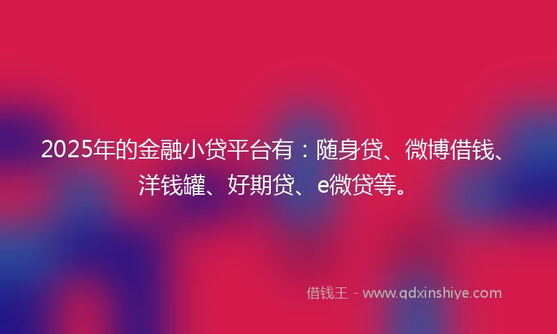 2025年的金融小贷平台有：随身贷、微博借钱、洋钱罐、好期贷、e微贷等。