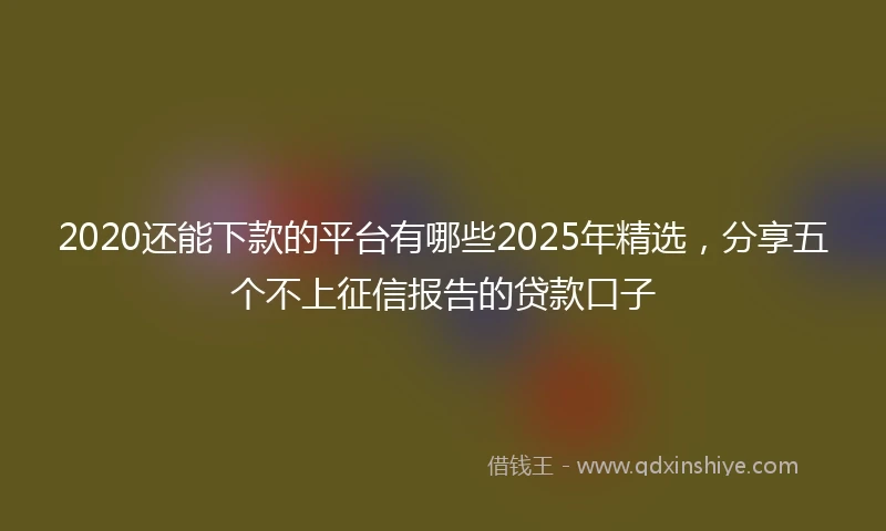 2020还能下款的平台有哪些2025年精选，分享五个不上征信报告的贷款口子