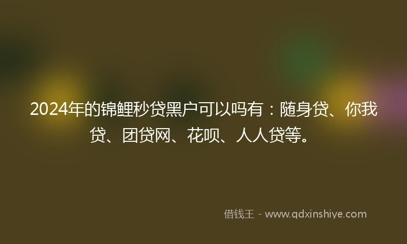 2024年的锦鲤秒贷黑户可以吗有：随身贷、你我贷、团贷网、花呗、人人贷等。