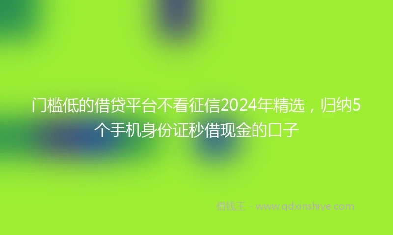 门槛低的借贷平台不看征信2024年精选，归纳5个手机身份证秒借现金的口子