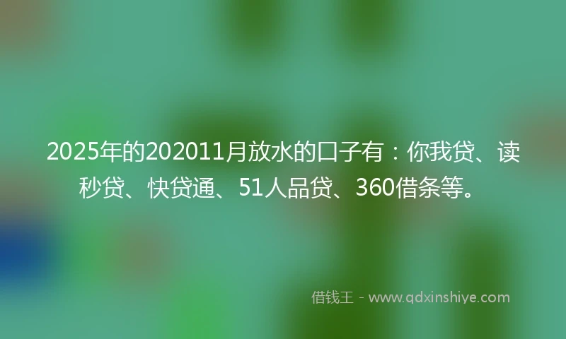 2025年的202011月放水的口子有：你我贷、读秒贷、快贷通、51人品贷、360借条等。