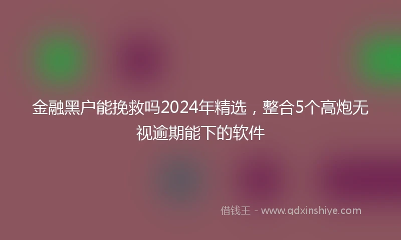 金融黑户能挽救吗2024年精选，整合5个高炮无视逾期能下的软件