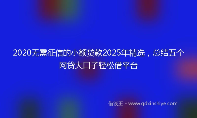 2020无需征信的小额贷款2025年精选，总结五个网贷大口子轻松借平台