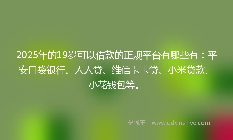 2025年的19岁可以借款的正规平台有哪些有：平安口袋银行、人人贷、维信卡卡贷、小米贷款、小花钱包等。