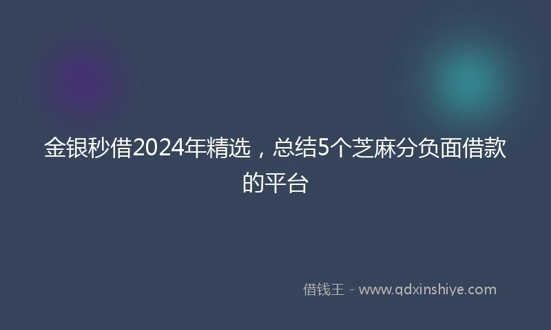 金银秒借2024年精选，总结5个芝麻分负面借款的平台