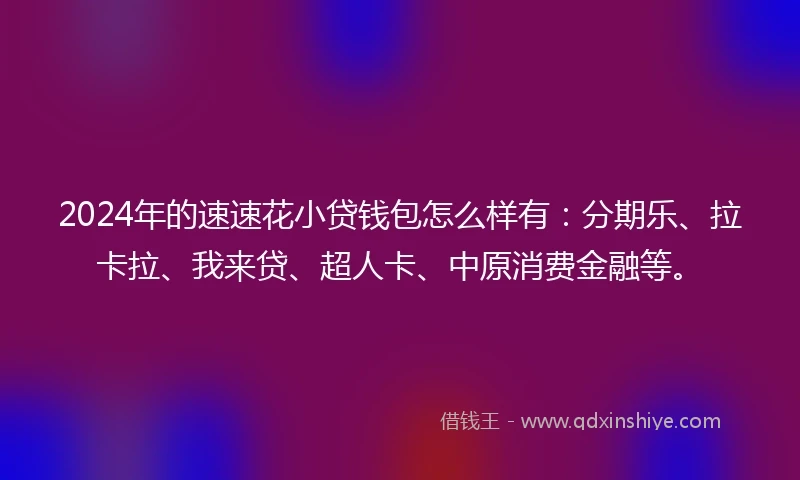 2024年的速速花小贷钱包怎么样有：分期乐、拉卡拉、我来贷、超人卡、中原消费金融等。