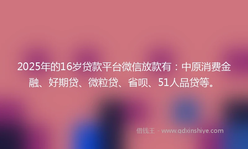 2025年的16岁贷款平台微信放款有：中原消费金融、好期贷、微粒贷、省呗、51人品贷等。