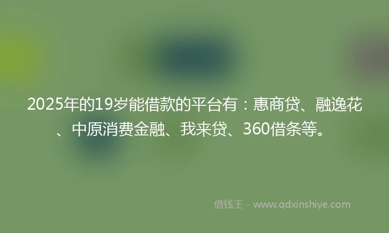 2025年的19岁能借款的平台有：惠商贷、融逸花、中原消费金融、我来贷、360借条等。