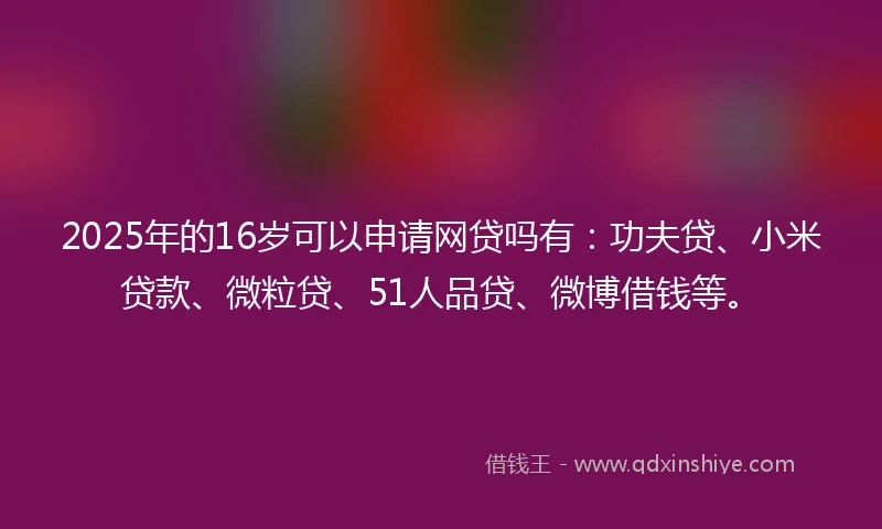 2025年的16岁可以申请网贷吗有：功夫贷、小米贷款、微粒贷、51人品贷、微博借钱等。