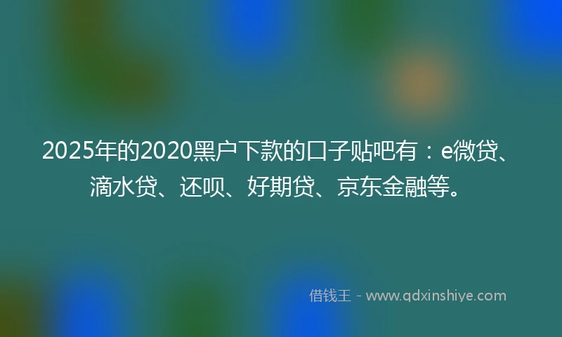 2025年的2020黑户下款的口子贴吧有：e微贷、滴水贷、还呗、好期贷、京东金融等。