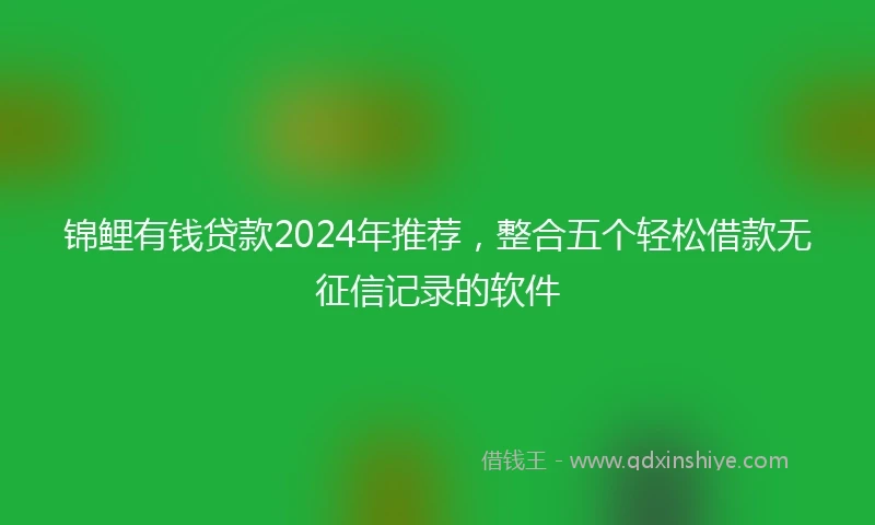 锦鲤有钱贷款2024年推荐，整合五个轻松借款无征信记录的软件