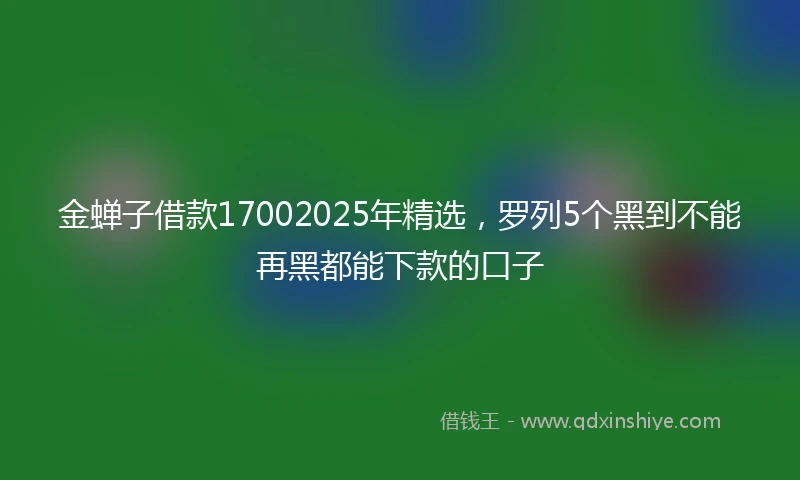 金蝉子借款17002025年精选，罗列5个黑到不能再黑都能下款的口子