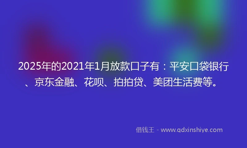 2025年的2021年1月放款口子有：平安口袋银行、京东金融、花呗、拍拍贷、美团生活费等。