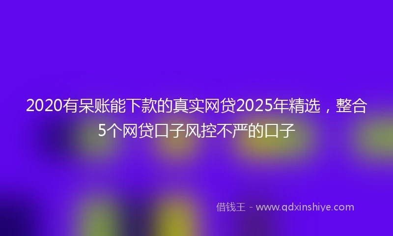 2020有呆账能下款的真实网贷2025年精选，整合5个网贷口子风控不严的口子
