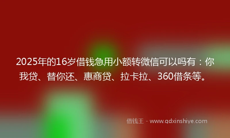 2025年的16岁借钱急用小额转微信可以吗有：你我贷、替你还、惠商贷、拉卡拉、360借条等。
