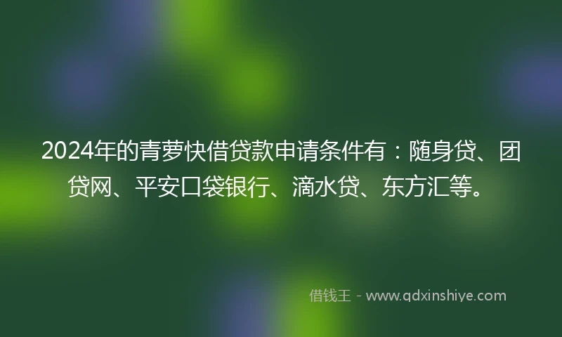 2024年的青萝快借贷款申请条件有：随身贷、团贷网、平安口袋银行、滴水贷、东方汇等。