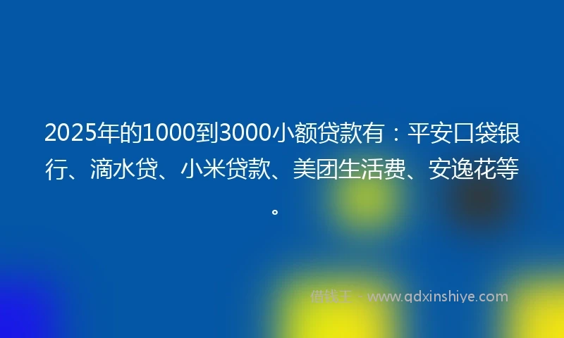 2025年的1000到3000小额贷款有：平安口袋银行、滴水贷、小米贷款、美团生活费、安逸花等。