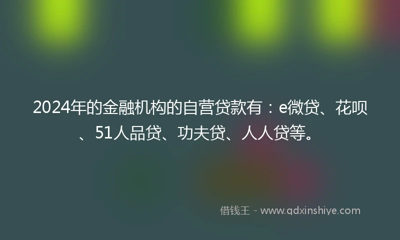 2024年的金融机构的自营贷款有：e微贷、花呗、51人品贷、功夫贷、人人贷等。