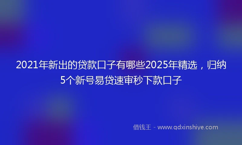 2021年新出的贷款口子有哪些2025年精选，归纳5个新号易贷速审秒下款口子