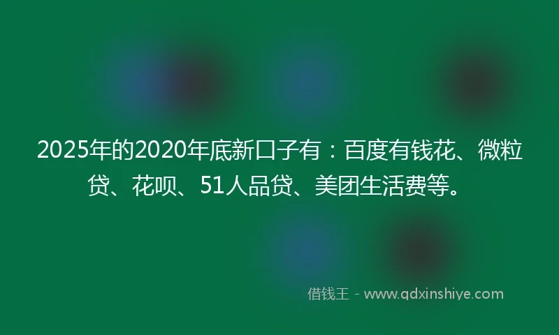 2025年的2020年底新口子有：百度有钱花、微粒贷、花呗、51人品贷、美团生活费等。