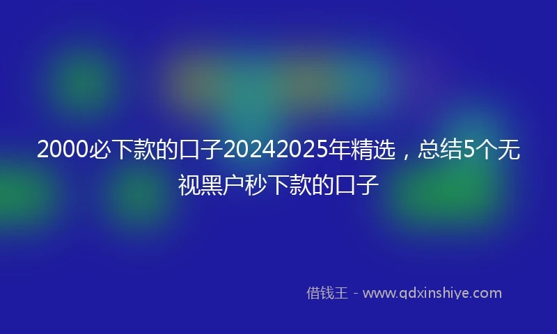 2000必下款的口子20242025年精选，总结5个无视黑户秒下款的口子