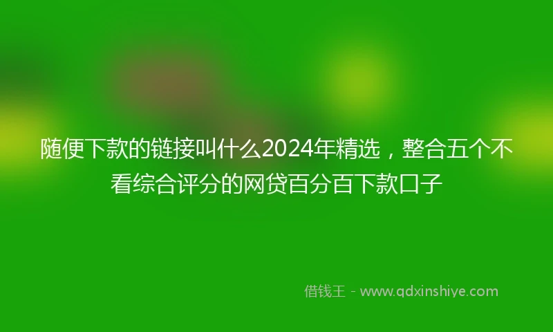 随便下款的链接叫什么2024年精选，整合五个不看综合评分的网贷百分百下款口子