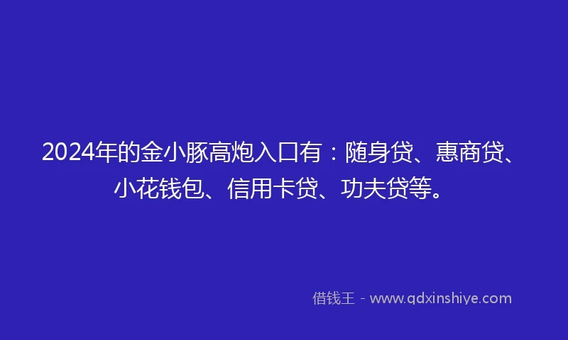 2024年的金小豚高炮入口有：随身贷、惠商贷、小花钱包、信用卡贷、功夫贷等。