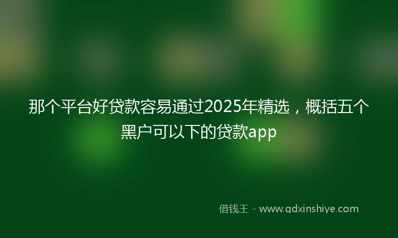 那个平台好贷款容易通过2025年精选，概括五个黑户可以下的贷款app