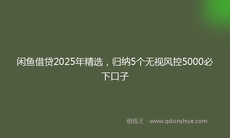 闲鱼借贷2025年精选，归纳5个无视风控5000必下口子