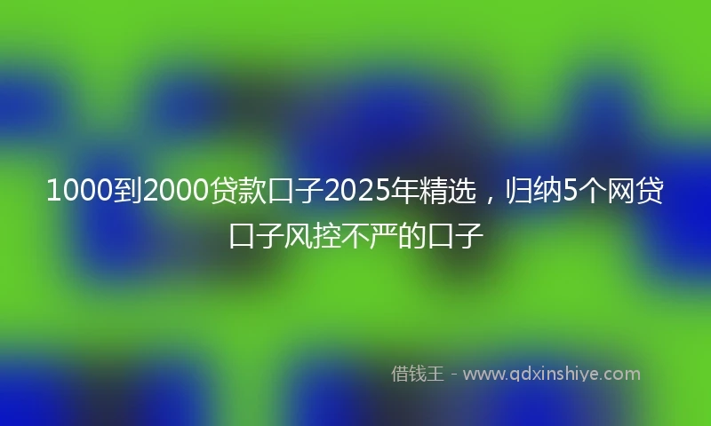 1000到2000贷款口子2025年精选，归纳5个网贷口子风控不严的口子