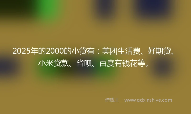 2025年的2000的小贷有：美团生活费、好期贷、小米贷款、省呗、百度有钱花等。