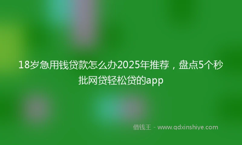 18岁急用钱贷款怎么办2025年推荐，盘点5个秒批网贷轻松贷的app
