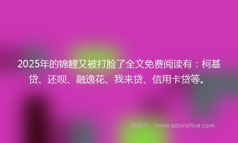 2025年的锦鲤又被打脸了全文免费阅读有：柯基贷、还呗、融逸花、我来贷、信用卡贷等。