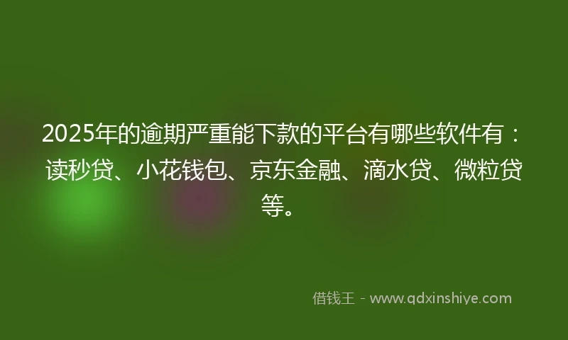 2025年的逾期严重能下款的平台有哪些软件有：读秒贷、小花钱包、京东金融、滴水贷、微粒贷等。