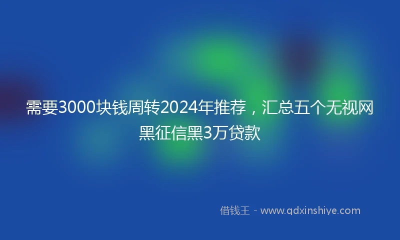 需要3000块钱周转2024年推荐，汇总五个无视网黑征信黑3万贷款