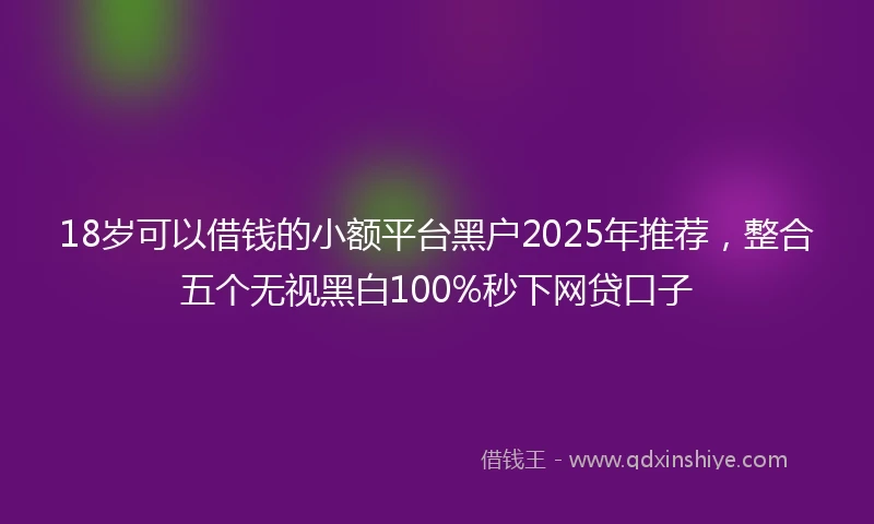 18岁可以借钱的小额平台黑户2025年推荐，整合五个无视黑白100%秒下网贷口子