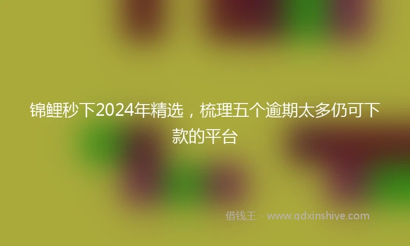 锦鲤秒下2024年精选，梳理五个逾期太多仍可下款的平台