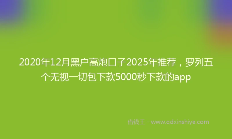 2020年12月黑户高炮口子2025年推荐，罗列五个无视一切包下款5000秒下款的app