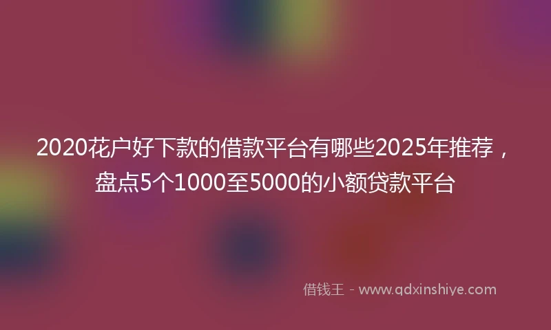 2020花户好下款的借款平台有哪些2025年推荐，盘点5个1000至5000的小额贷款平台
