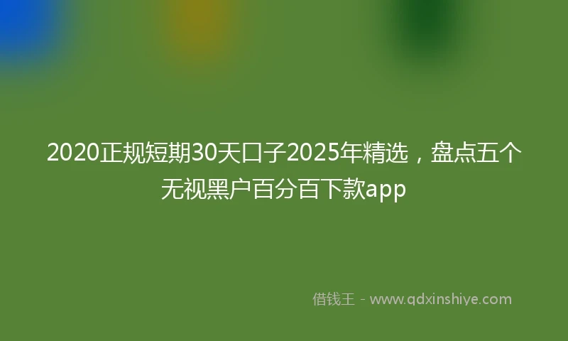 2020正规短期30天口子2025年精选，盘点五个无视黑户百分百下款app