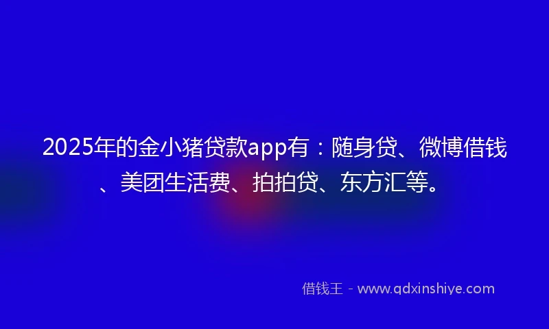 2025年的金小猪贷款app有：随身贷、微博借钱、美团生活费、拍拍贷、东方汇等。