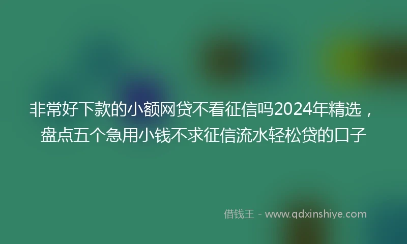 非常好下款的小额网贷不看征信吗2024年精选，盘点五个急用小钱不求征信流水轻松贷的口子