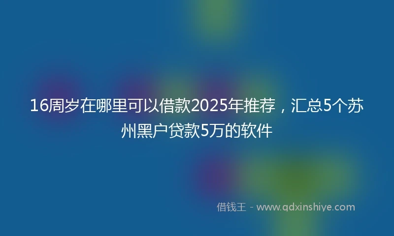 16周岁在哪里可以借款2025年推荐，汇总5个苏州黑户贷款5万的软件