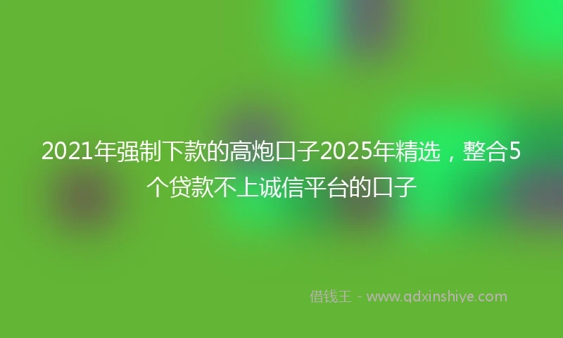 2021年强制下款的高炮口子2025年精选，整合5个贷款不上诚信平台的口子