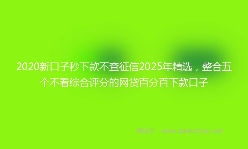 2020新口子秒下款不查征信2025年精选，整合五个不看综合评分的网贷百分百下款口子