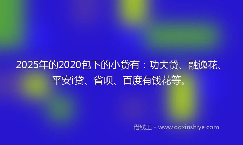 2025年的2020包下的小贷有：功夫贷、融逸花、平安i贷、省呗、百度有钱花等。
