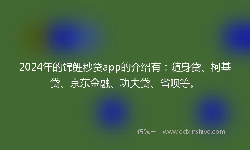 2024年的锦鲤秒贷app的介绍有：随身贷、柯基贷、京东金融、功夫贷、省呗等。