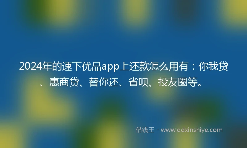 2024年的速下优品app上还款怎么用有：你我贷、惠商贷、替你还、省呗、投友圈等。